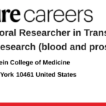 Albert Einstein College of Medicine