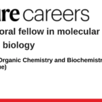 Institute of Organic Chemistry and Biochemistry of the CAS (IOCB Prague)