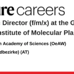 The Austrian Academy of Sciences (OeAW)