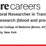 Albert Einstein College of Medicine (Bronx, NY)